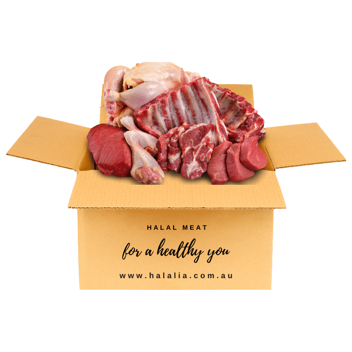 MediumFamily Meat Box-HALALIA